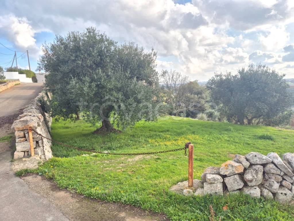 immagine annuncio 3 di 8