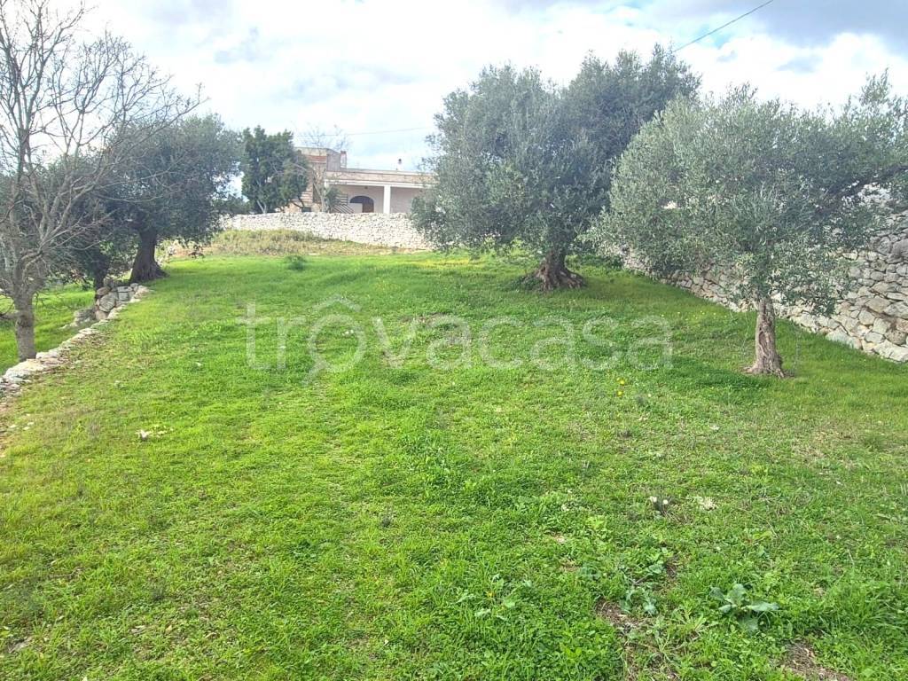 immagine annuncio 4 di 8