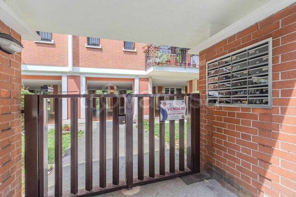 immagine annuncio 6 di 15