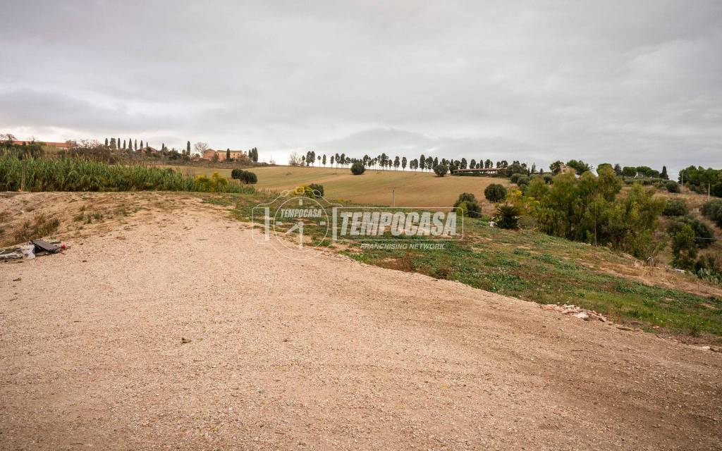 immagine annuncio 11 di 13