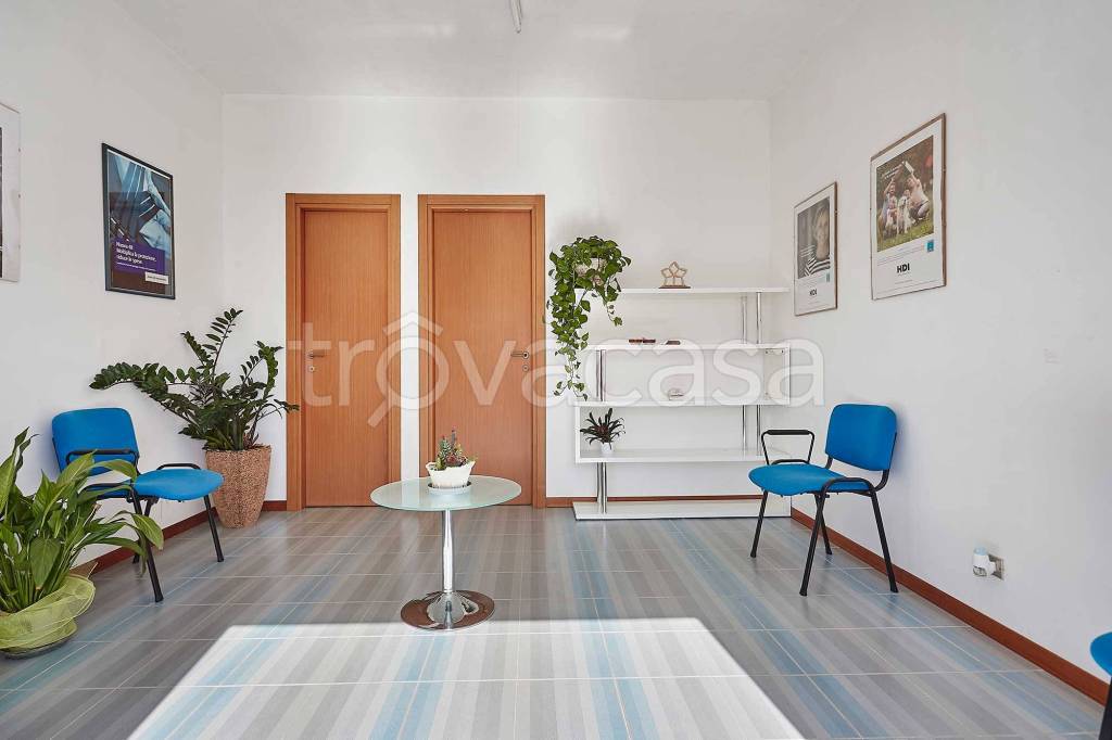 immagine annuncio 9 di 14