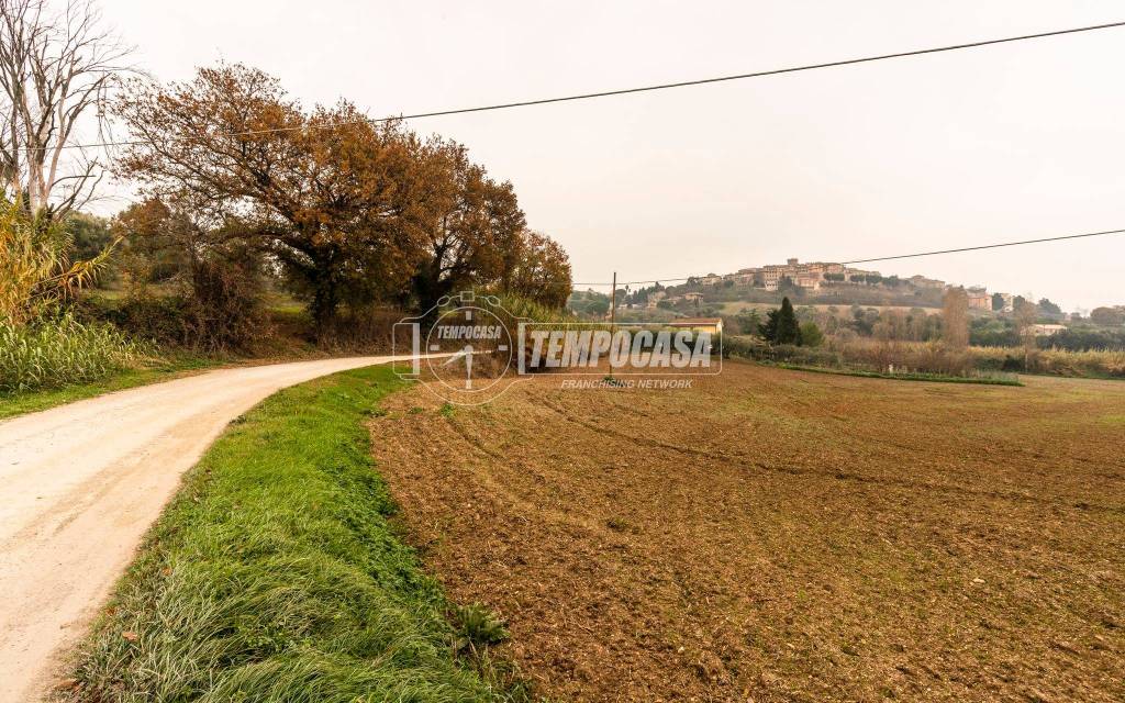 immagine annuncio 4 di 11