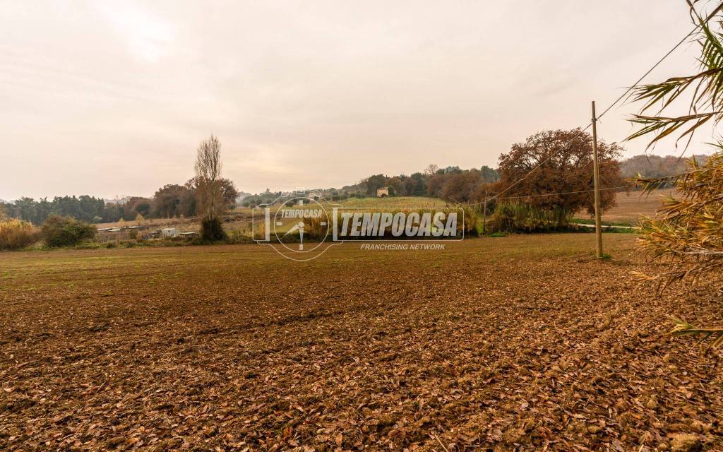 immagine annuncio 5 di 11