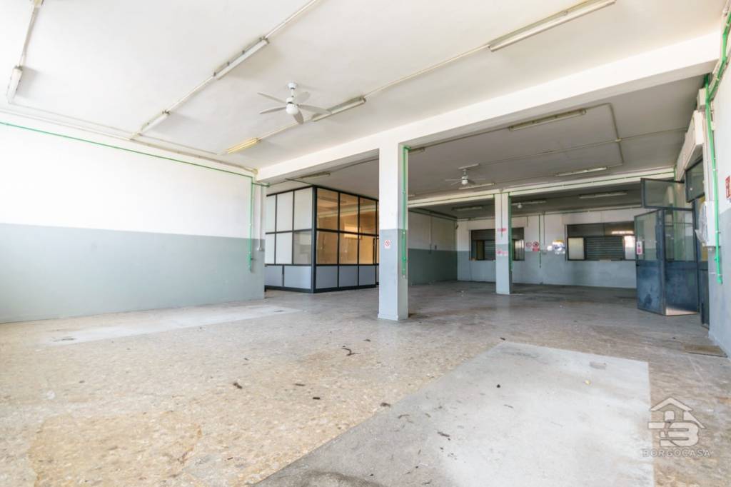 immagine annuncio 12 di 15