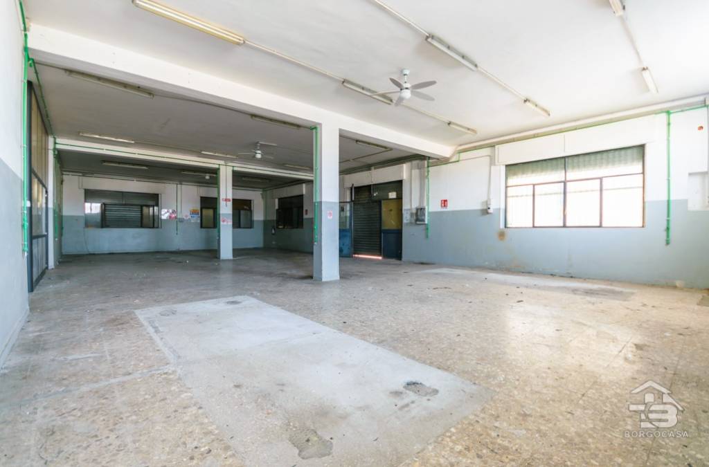 immagine annuncio 13 di 15