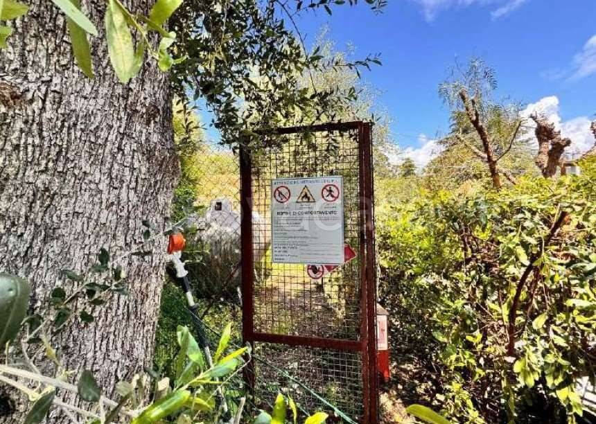 immagine annuncio 8 di 15