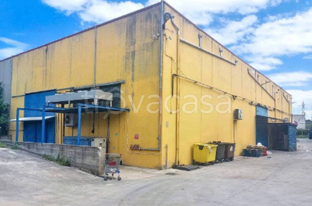 immagine annuncio 4 di 9