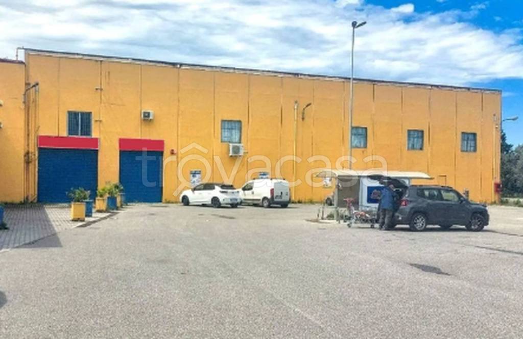 immagine annuncio 7 di 9