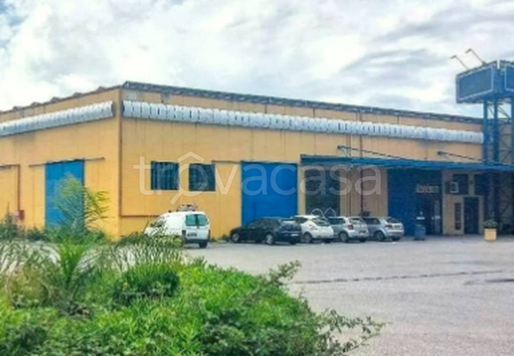 immagine annuncio 8 di 9