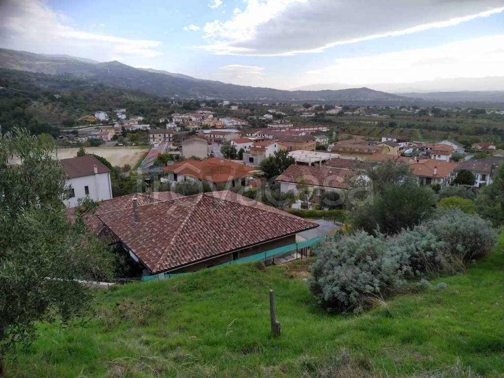 immagine annuncio 11 di 12