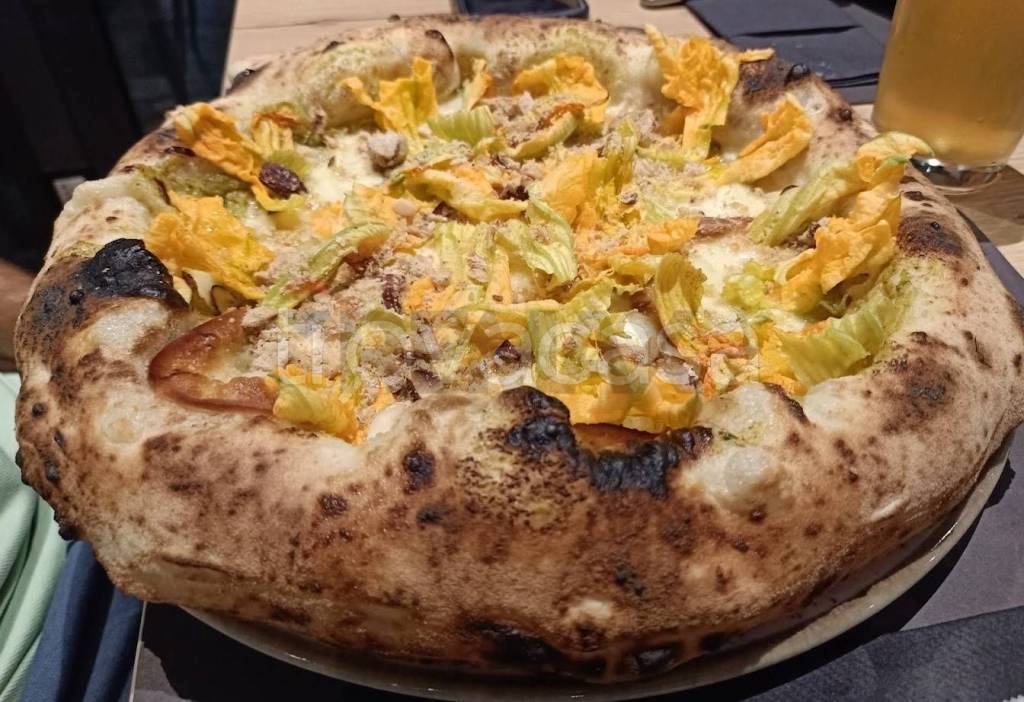 immagine annuncio 4 di 14