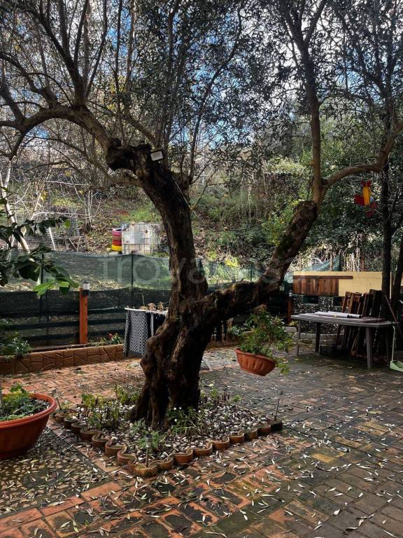 immagine annuncio 7 di 8