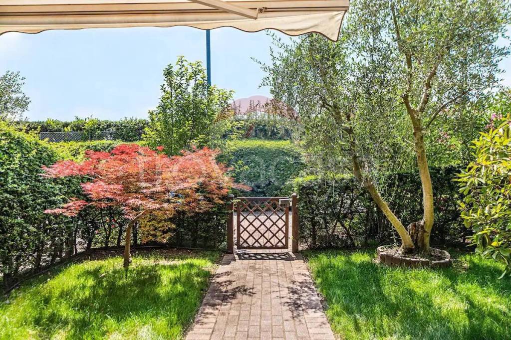 immagine annuncio 1 di 15