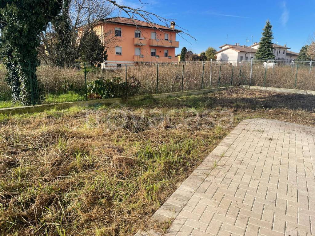 immagine annuncio 12 di 14