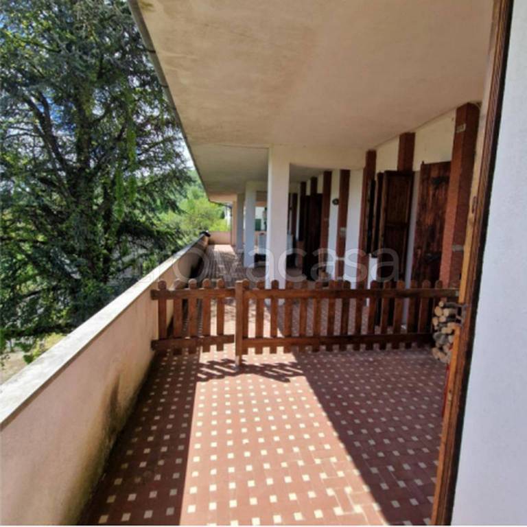 immagine annuncio 4 di 11