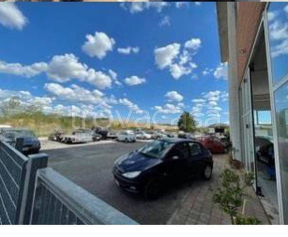 immagine annuncio 9 di 10