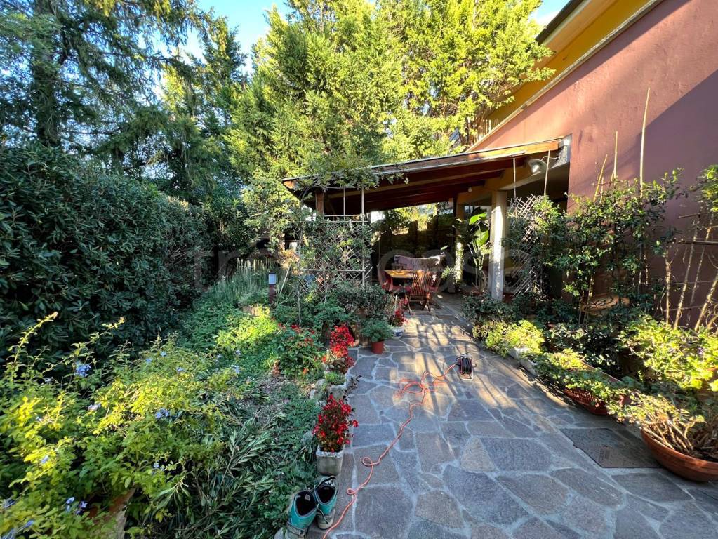 immagine annuncio 4 di 15