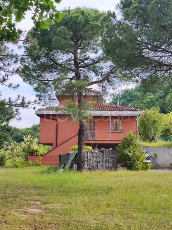 immagine annuncio 9 di 11