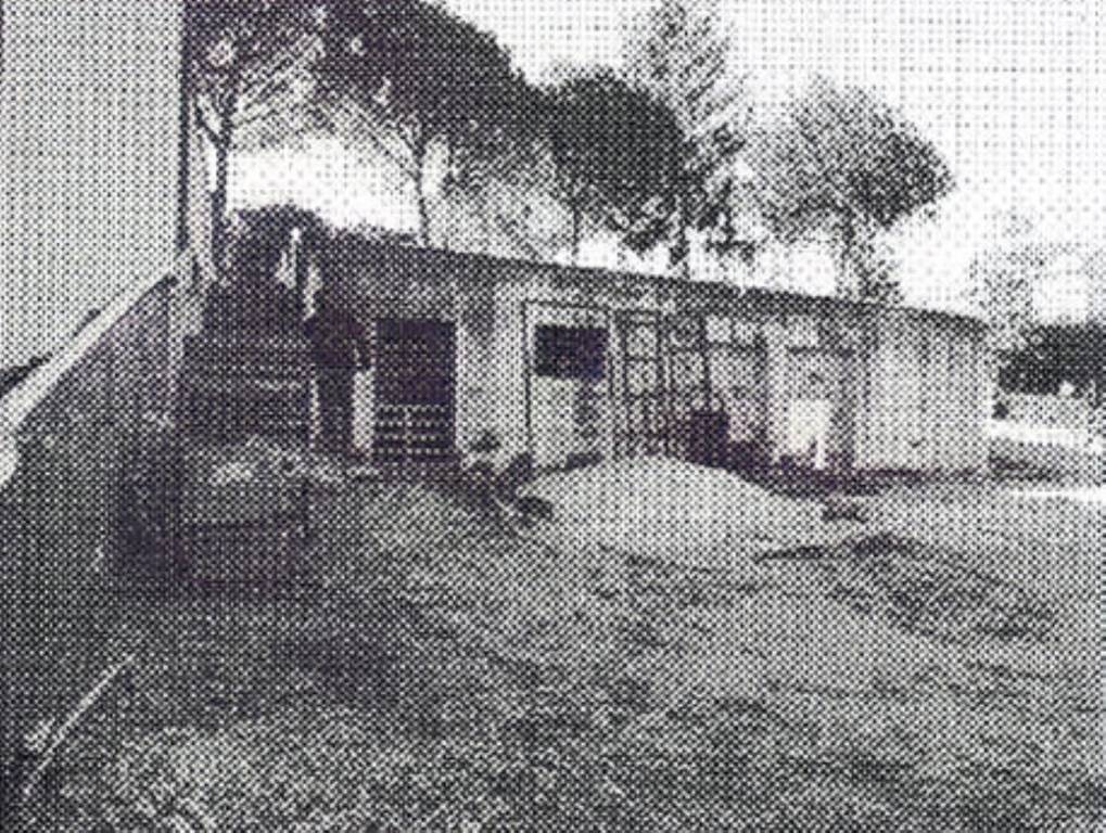 immagine annuncio 6 di 12