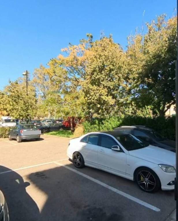 immagine annuncio 12 di 13