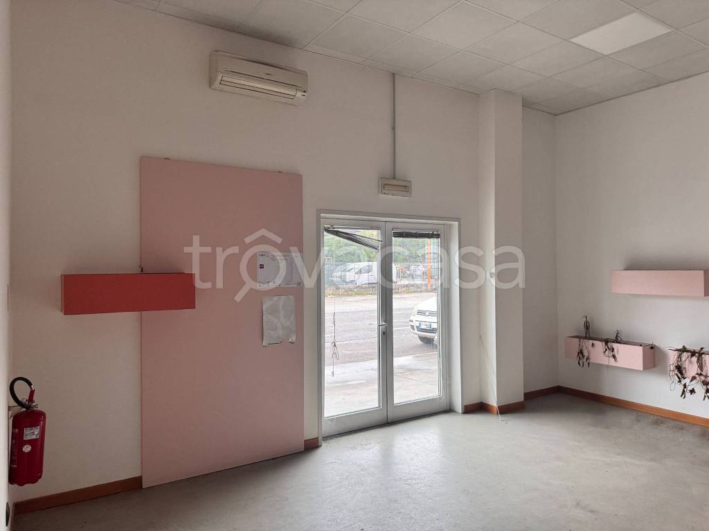 immagine annuncio 3 di 4