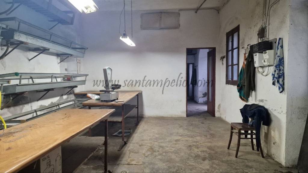 immagine annuncio 1 di 14