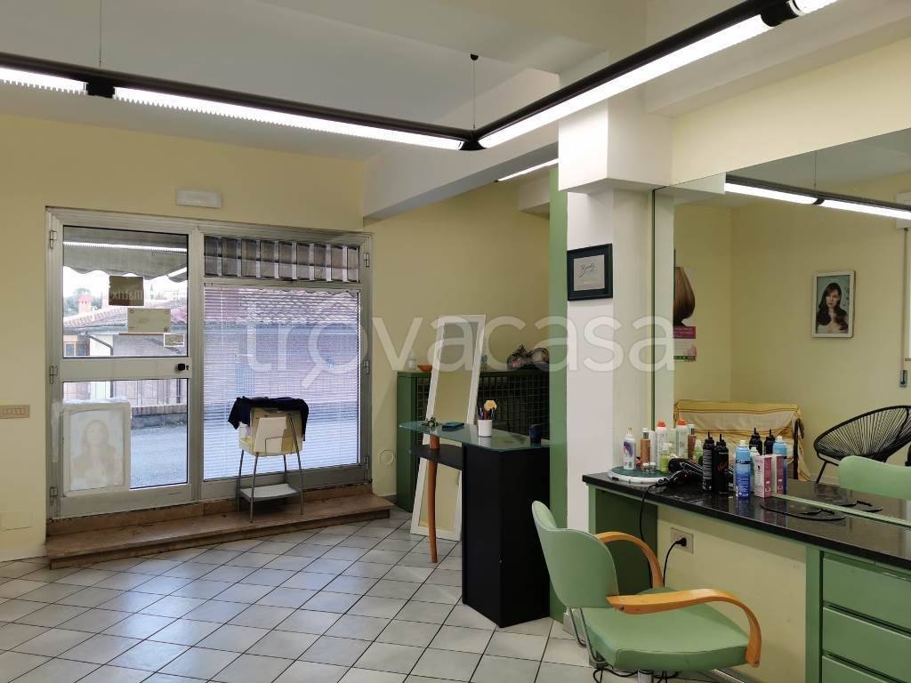 immagine annuncio 4 di 7