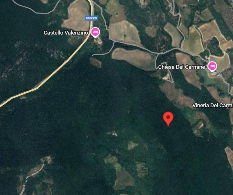 immagine annuncio 1 di 12