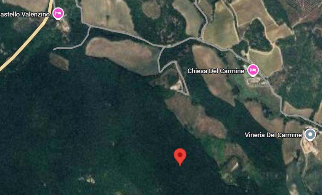 immagine annuncio 2 di 12