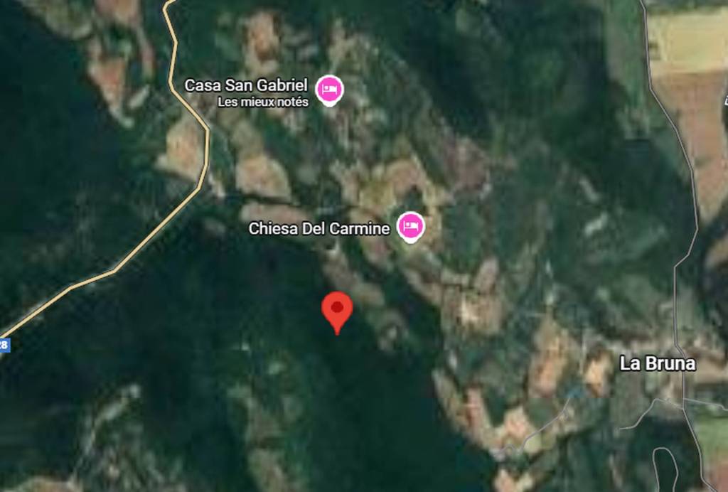 immagine annuncio 3 di 12