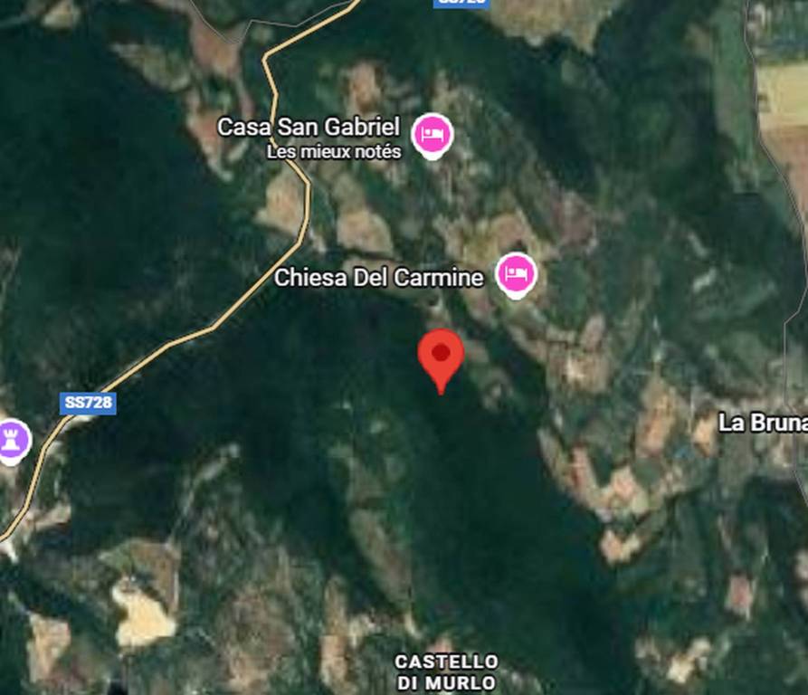 immagine annuncio 4 di 12