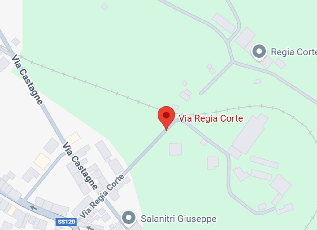 immagine annuncio 2 di 13