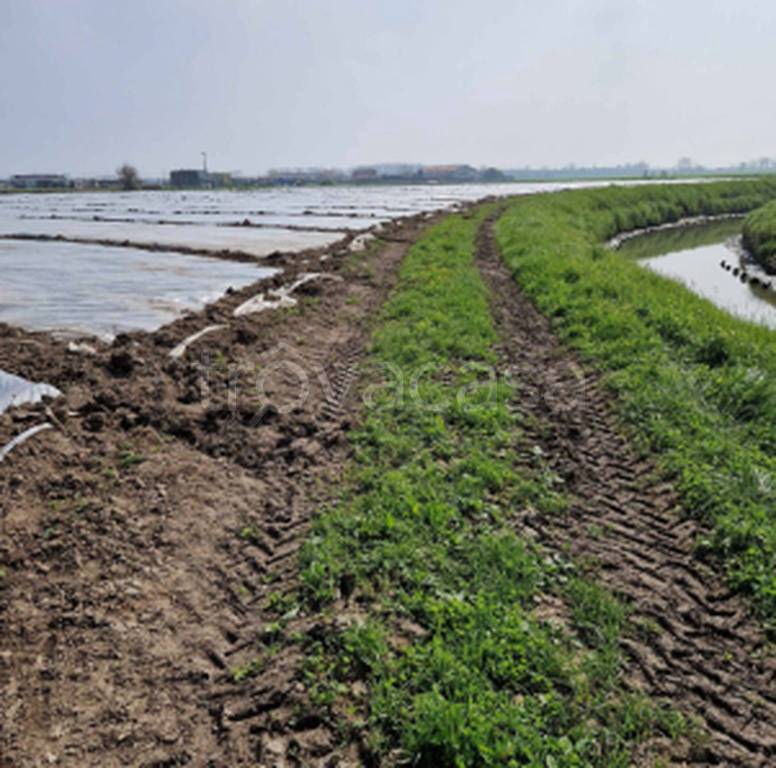 immagine annuncio 7 di 11