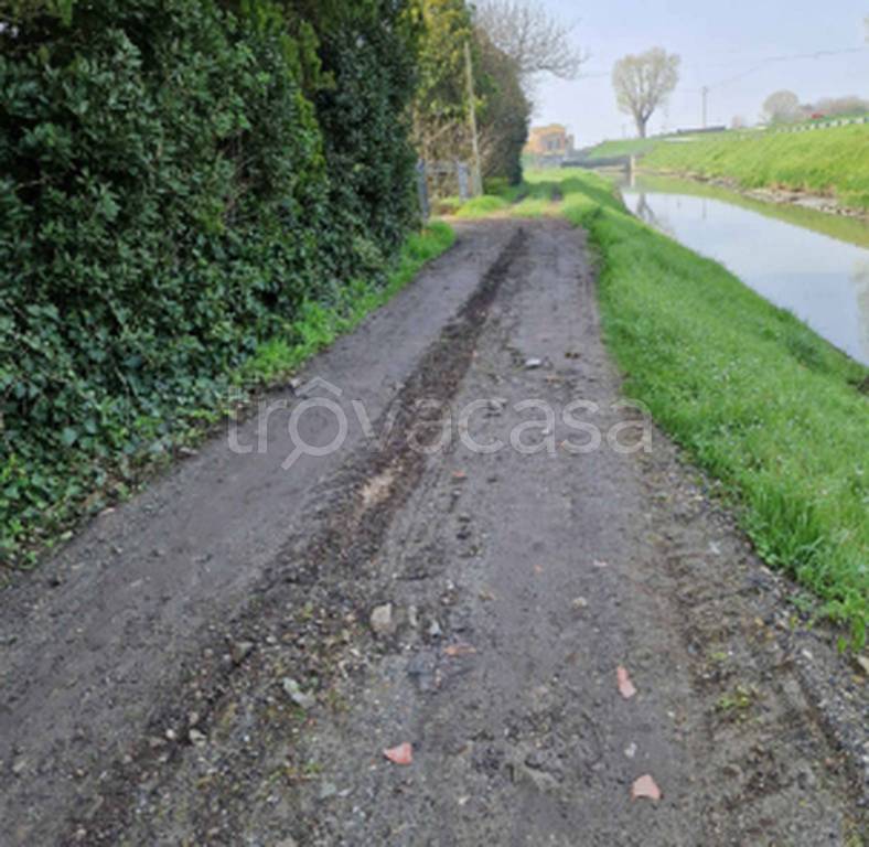 immagine annuncio 9 di 11