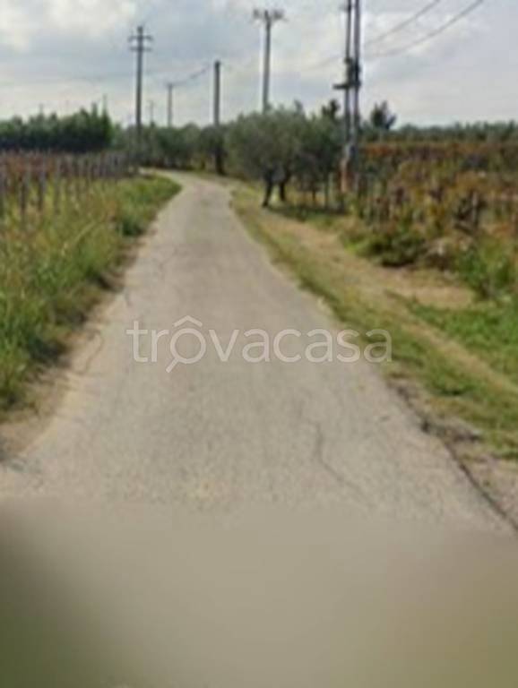 immagine annuncio 9 di 10