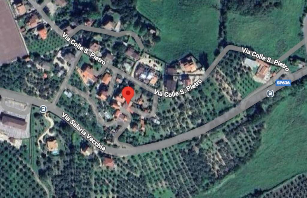 immagine annuncio 3 di 14