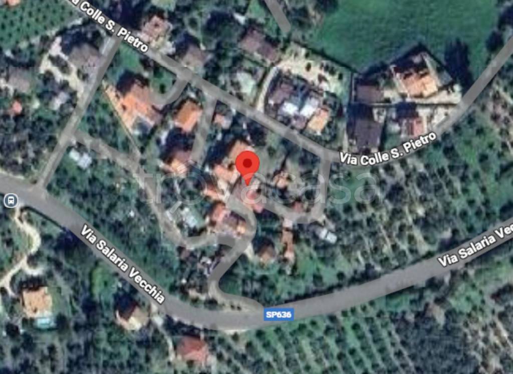 immagine annuncio 4 di 14