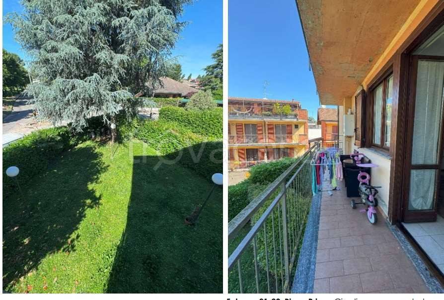 immagine annuncio 6 di 11