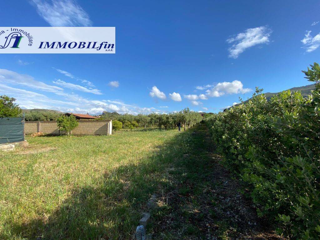 immagine annuncio 10 di 11