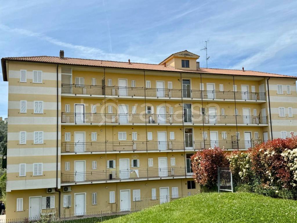 immagine annuncio 12 di 13