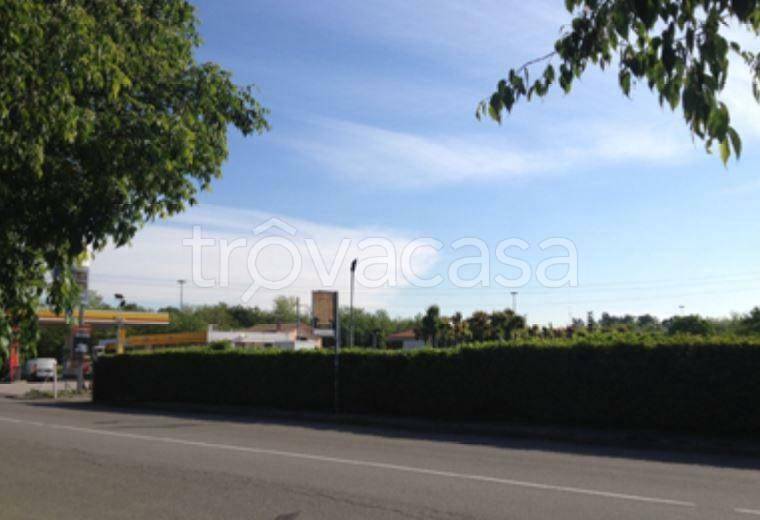 immagine annuncio 1 di 6