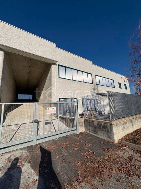 immagine annuncio 10 di 11