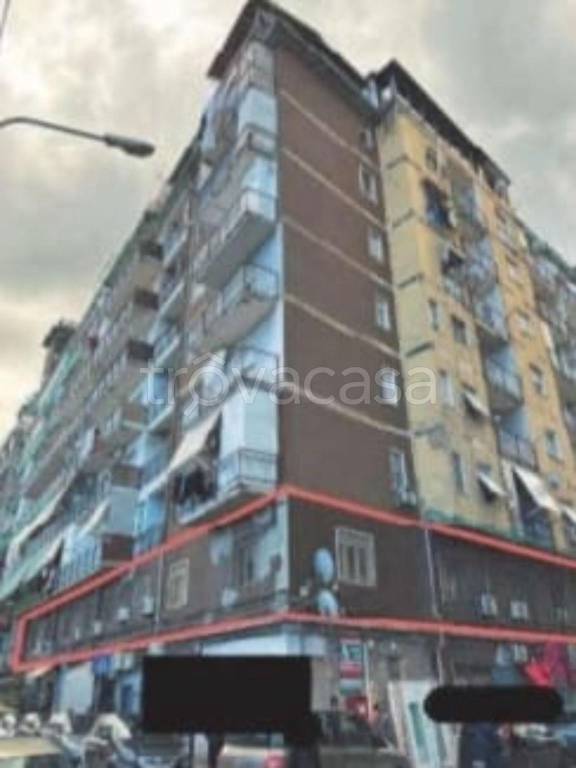 immagine annuncio 2 di 12