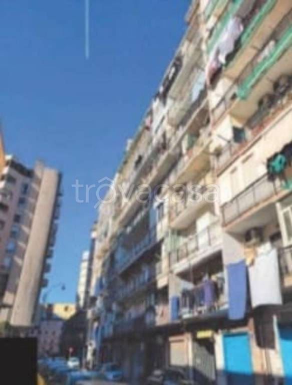 immagine annuncio 5 di 12