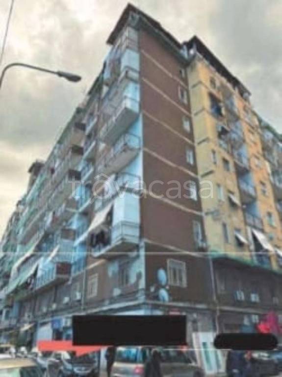 immagine annuncio 7 di 12