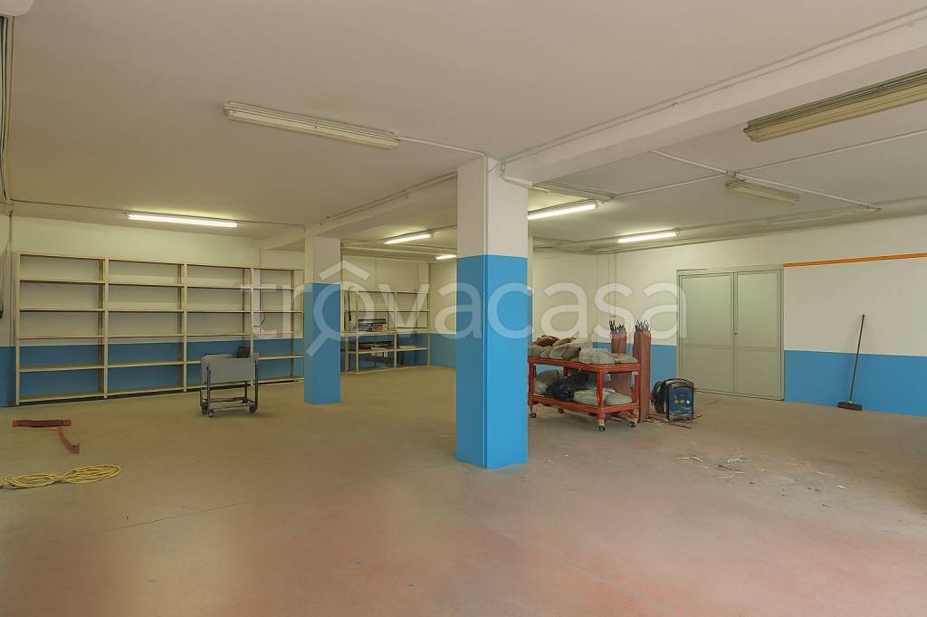 immagine annuncio 10 di 15