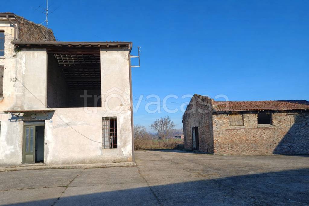 immagine annuncio 6 di 11