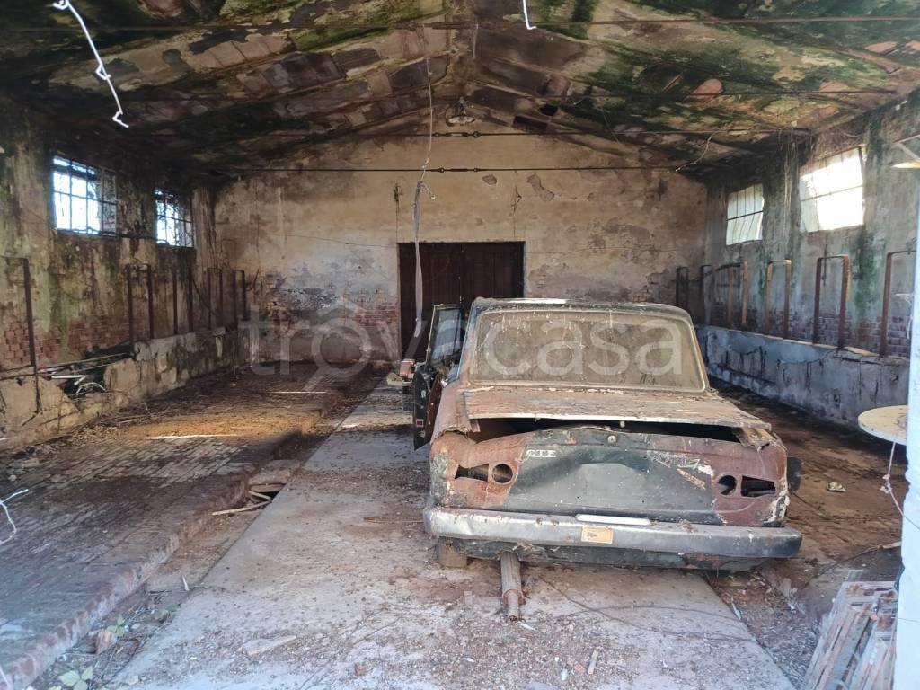 immagine annuncio 10 di 11