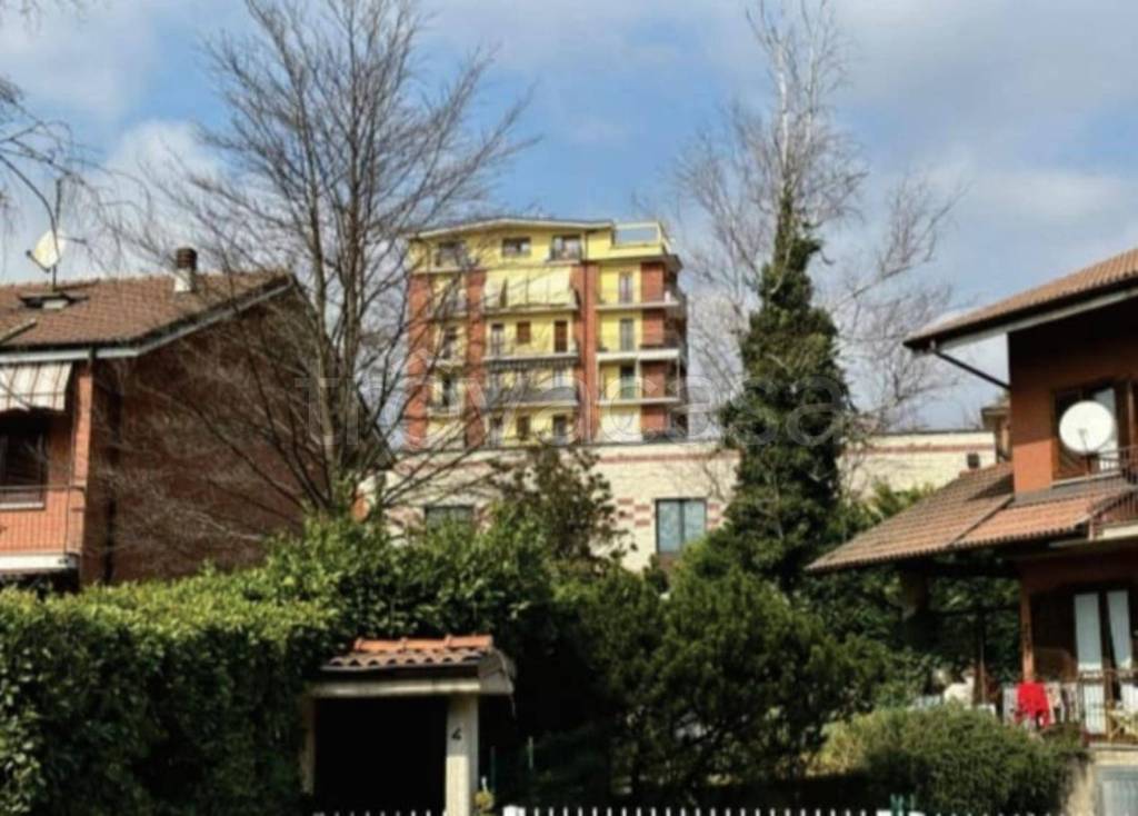 immagine annuncio 9 di 10