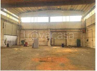 immagine annuncio 4 di 13